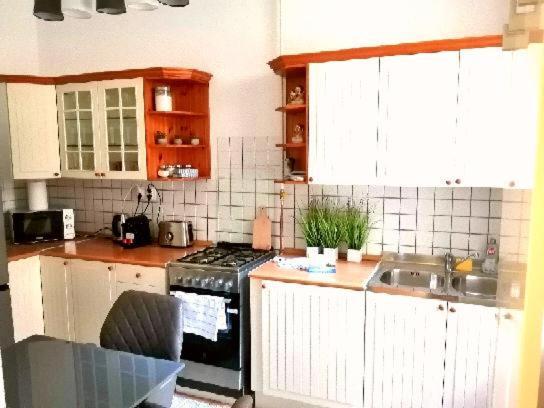 Free Garage Parking, Ac And Bikes In The Downtown Lägenhet Budapest Exteriör bild
